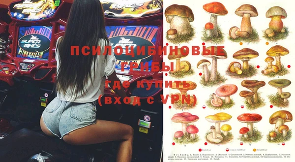 дживик Каменногорск