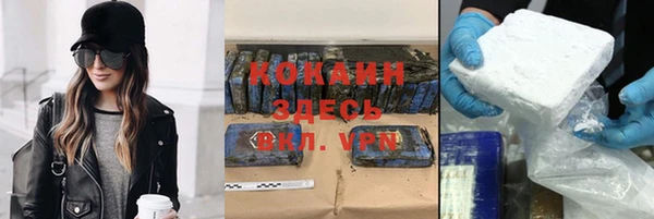 гидра Инсар