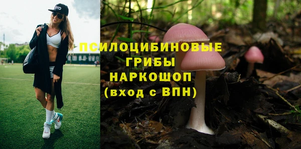 бошки Иннополис