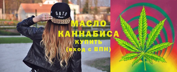 тгк Касимов