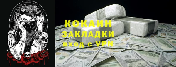 гидра Инсар